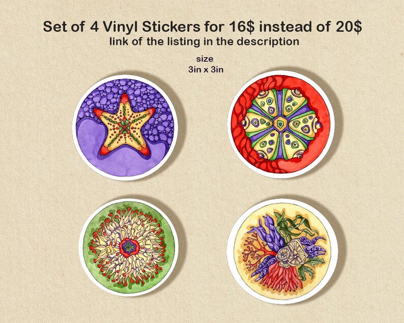 May include: Set of four 3 inch vinyl stickers featuring colorful illustrations of a starfish, a sea anemone, a coral reef, and a sea urchin.