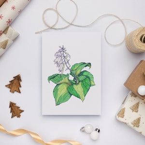 Aquarel bloemenwenskaart, Botanische verjaardagskaarten voor haar, bloemenkaarten met enveloppen, tuinmancadeaus voor vrouwen, denken