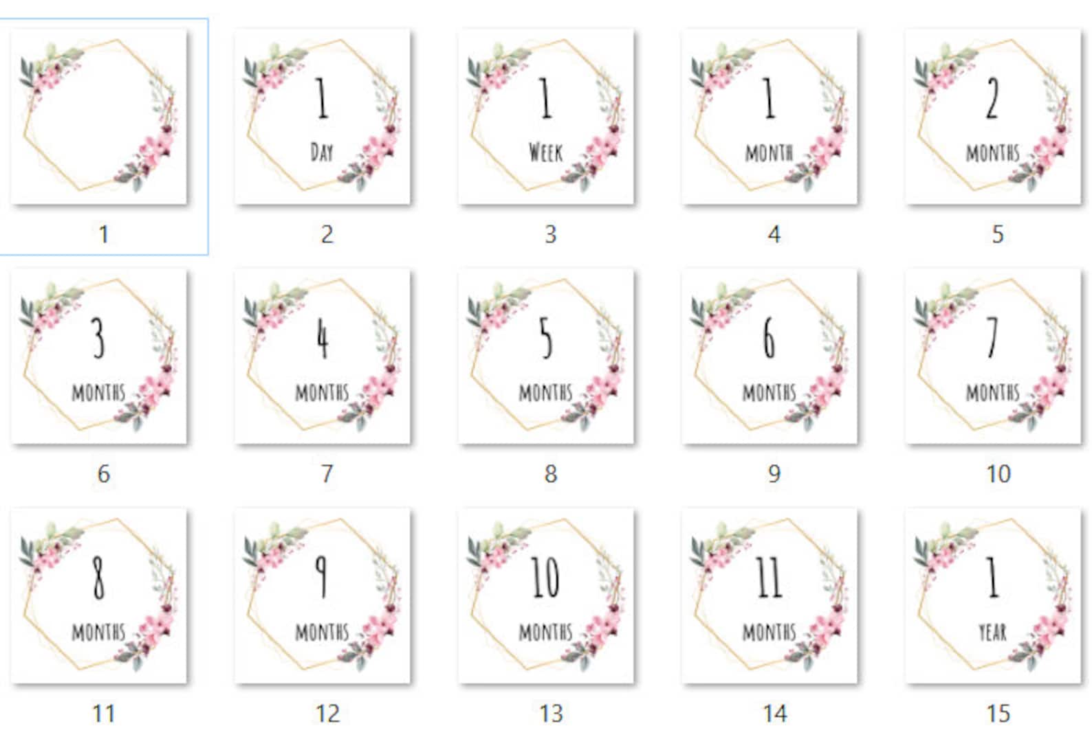 Printable Baby Milestone Cards - Floral Theme - Baby Girl - 15 Cards ...