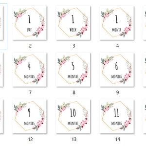 Cartes d'étape imprimables pour bébé - Thème floral - Petite fille - 15 cartes - Téléchargez et imprimez vous-même !