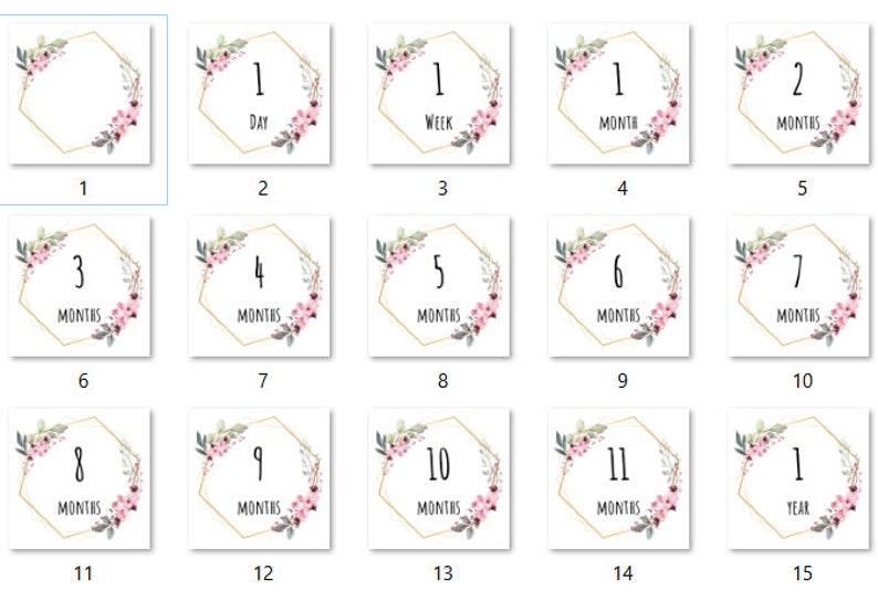 Printable Baby Milestone Cards - Floral Theme - Baby Girl - 15 Cards ...