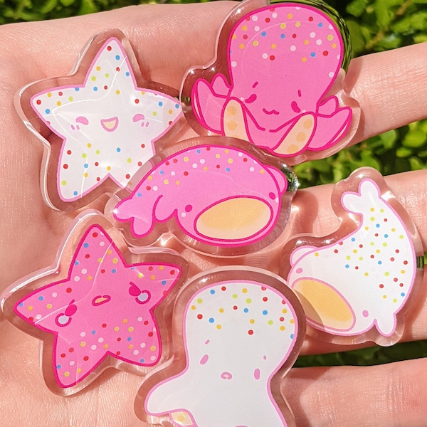 Cute Sea Cookie Acrylic Pins! 1.5in