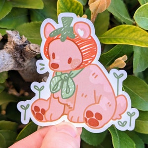 Tomato Teddy Bear Waterproof Sticker!