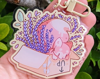 Fox Box Keychain!