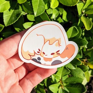 K&ouml;nnte beinhalten: Eine wei&szlig;e und orange Katze, die sich zu einer Kugel zusammengerollt hat und auf einem schwarz-wei&szlig;en gemusterten Hintergrund schl&auml;ft. Die Katze hat geschlossene Augen und eine rosa Nase.