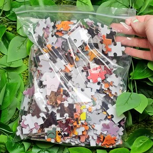 May include: A clear plastic bag filled with a jigsaw puzzle. The puzzle pieces are colorful and have various images on them.
