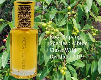 Kupang Sandalwood Oil