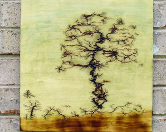 Joshua tree Art - Lichtenberg art