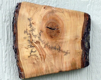 Live Edge Maple Fractal Artwork Wall Hanging.