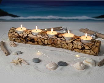 Fractal Log - PETITE SIZE