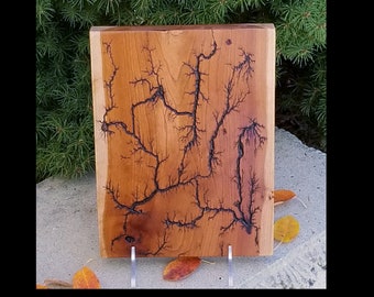 Cherry Lichtenberg Fractal Art