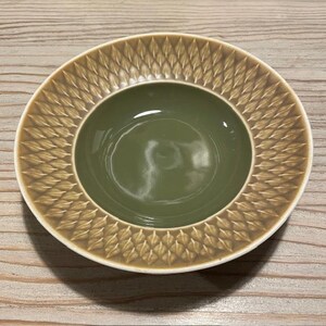 Può includere: Una ciotola rotonda in ceramica con interno verde e bordo decorativo. Il bordo presenta un motivo ripetuto di forme a forma di foglia nei toni del marrone e dell'oro. La ciotola poggia su una superficie di legno chiaro.