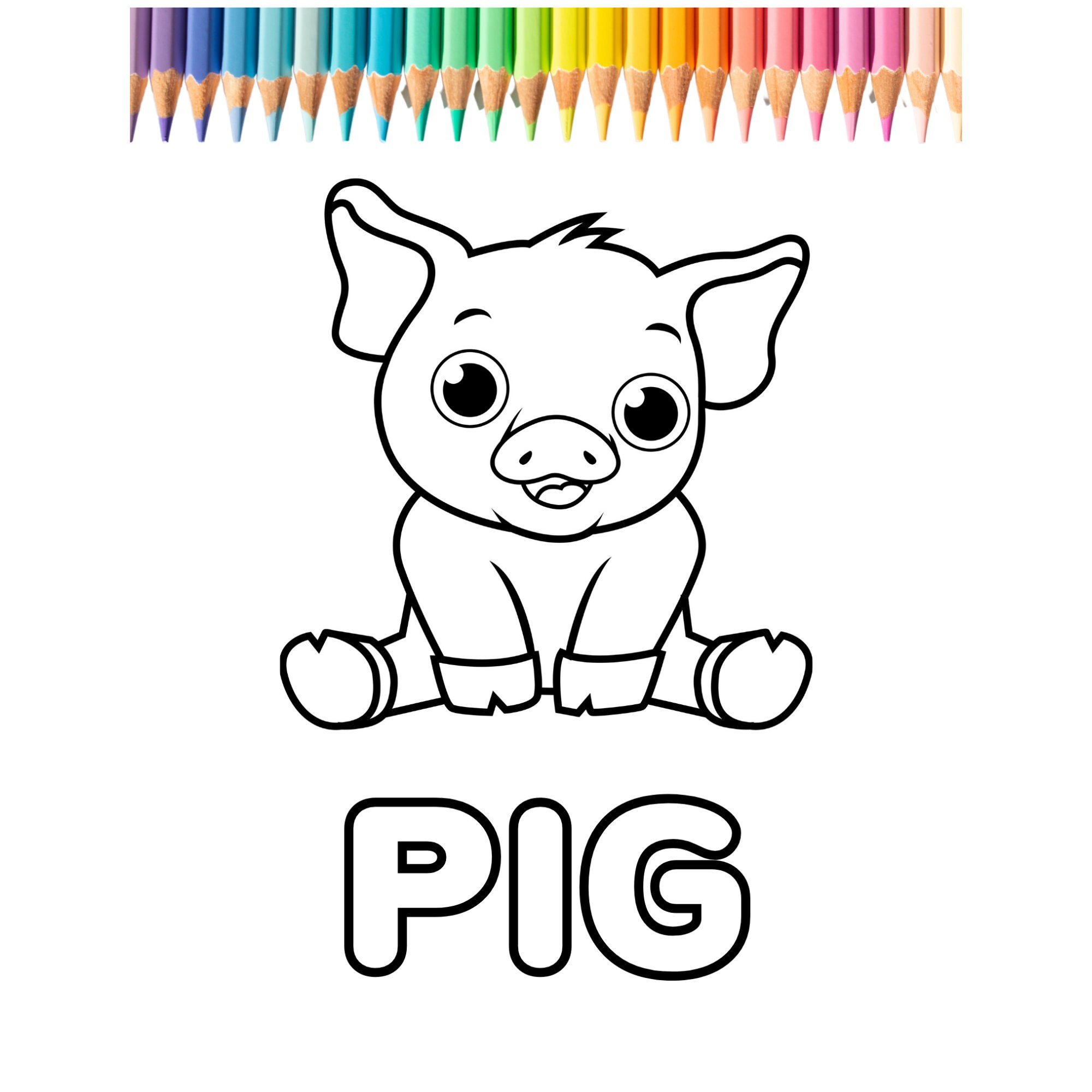 Animal Coloring Pack for Pre-schoolers - Etsy