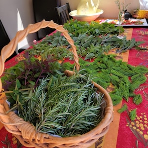 Organic Hand-Picked Italian Herb Kitchen Mix