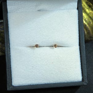 May include: A pair of small, round, brown diamond earrings in a white velvet jewelry box.