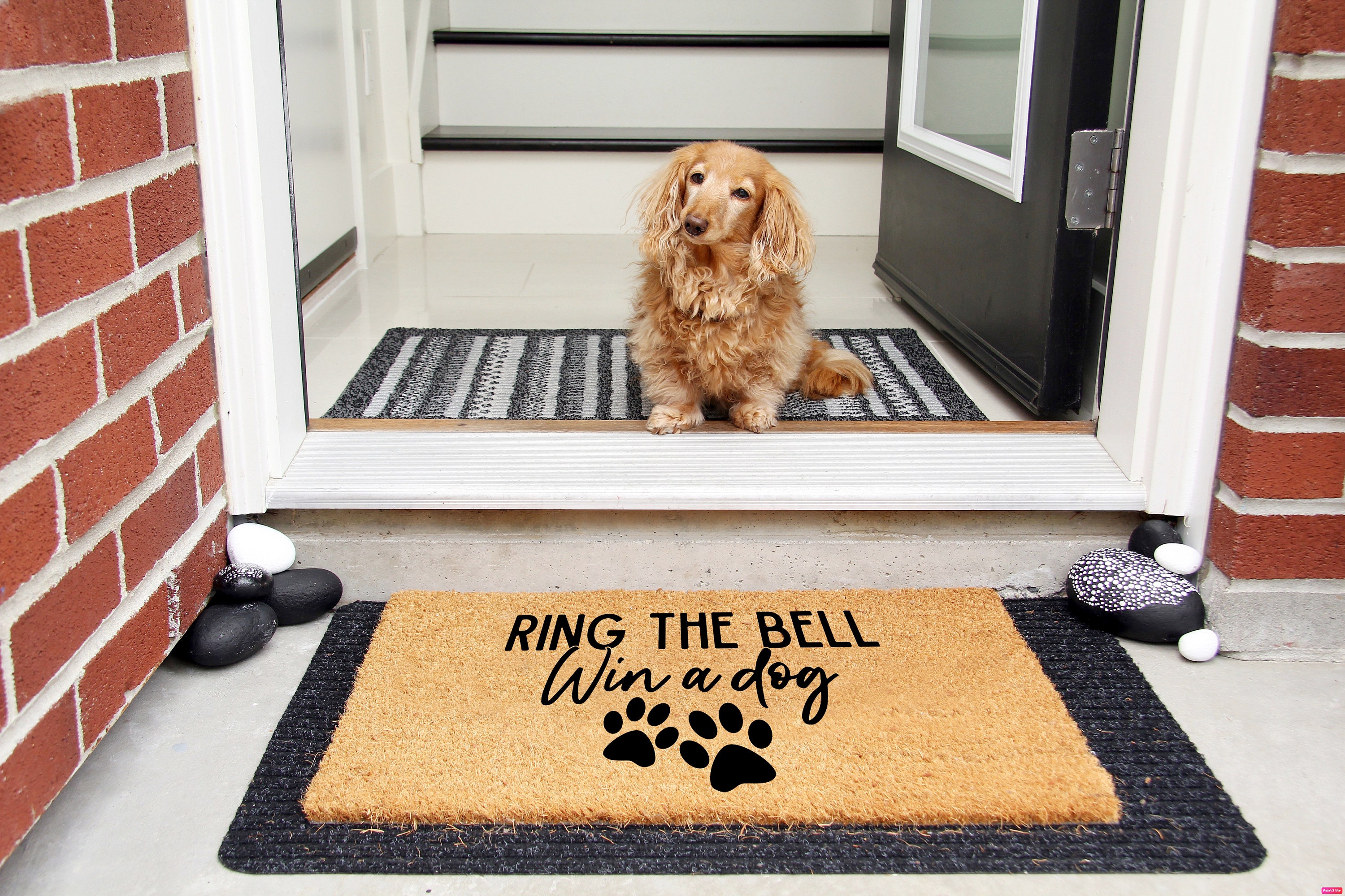 Ring The Bell Win A Dog Doormat Funny Doormat Animal Lover Etsy
