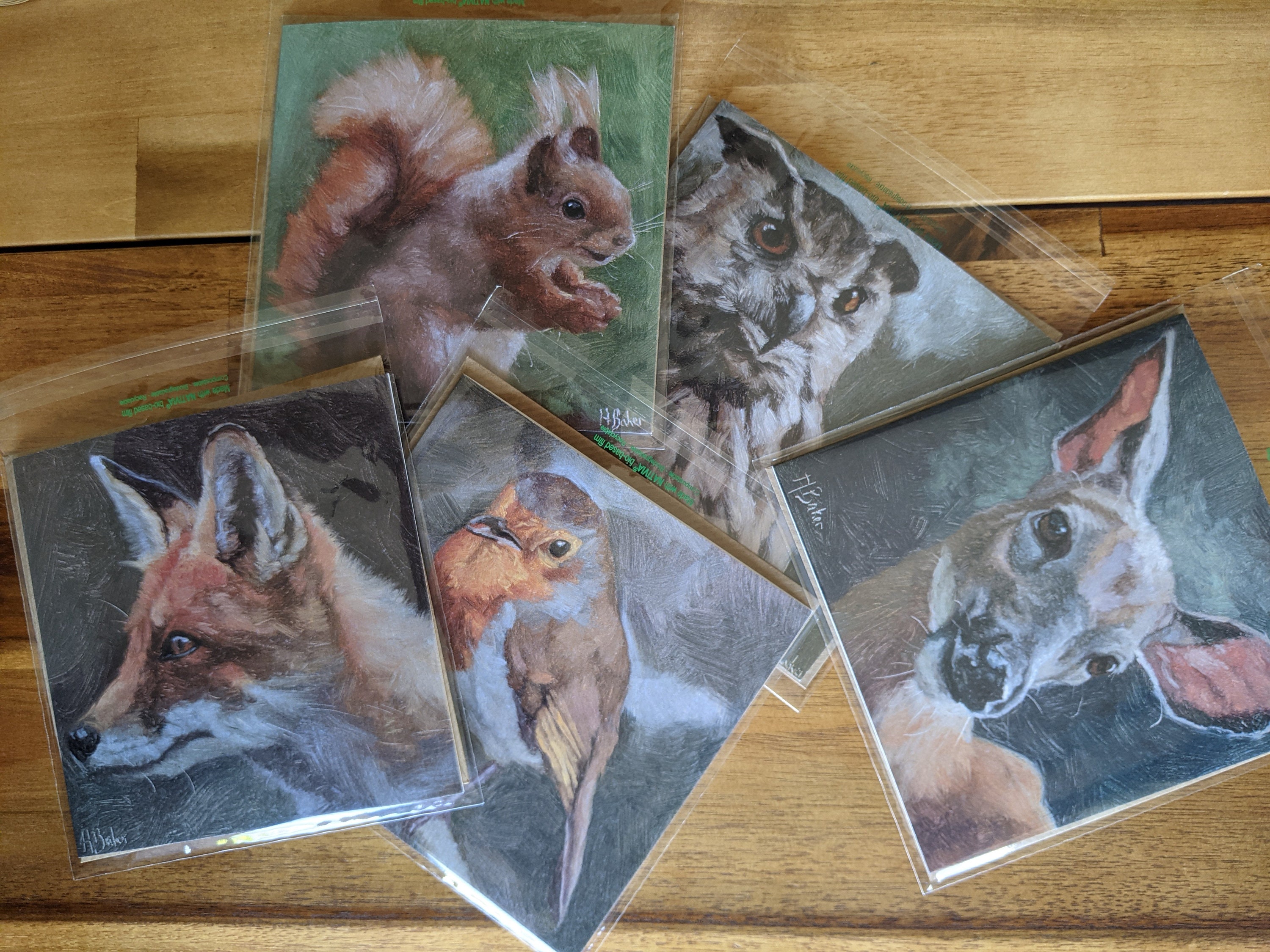 Set of 5 Greeting Cards Blank Inside 5x5in Original Etsy