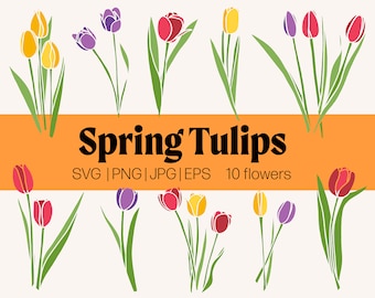Spring Crocuses SVG Bundle | Crocus Svg, Spring Flowers Svg, Floral Svg ...