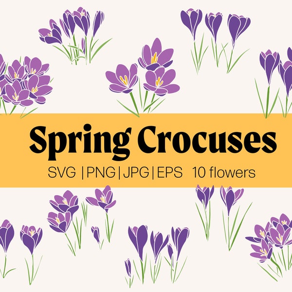 Spring Crocuses SVG Bundle | Crocus svg, Spring Flowers svg, Floral svg, Spring svg, Easter svg, Hello Spring svg, Mothers Day svg