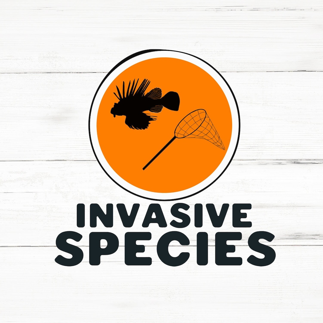 Invasive Species Svg Insects Png Insects Bundle Insects - Etsy
