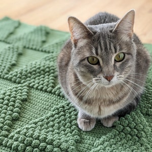 May include: A gray tabby cat with green eyes sits on a green crocheted blanket. The cat has white whiskers and a white patch on its chest.