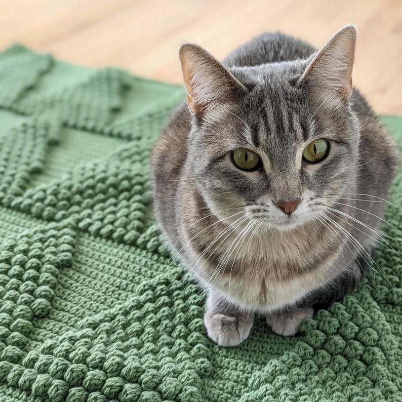 May include: A gray tabby cat with green eyes sits on a green crocheted blanket. The cat has white whiskers and a white patch on its chest.