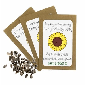 Personalised Birthday Seed Packets Envelopes with Seeds | Eco Friendly Party Bags | Sunflower Seeds | Party Gift Bag | Birthday Thank You