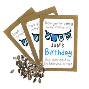 Personalised Boys Birthday Sunflower Seed Packets Envelopes with Seeds | Eco Friendly Party Bags | Party Gift Bag Birthday Favours Thank You