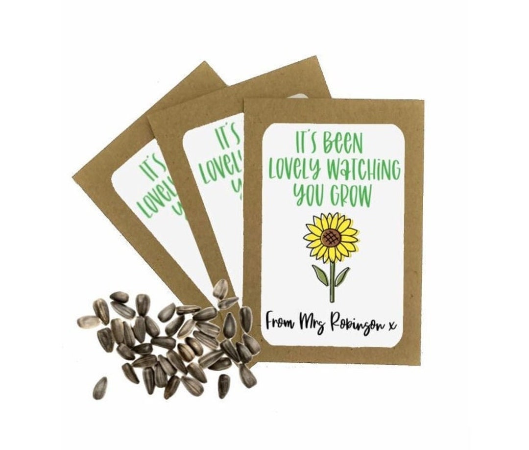 Seed Paper Gifts For Students From Teachers, 36Pack Class Gifts