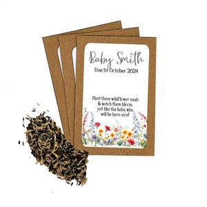 Buste di semi di fiori selvatici per baby shower personalizzate con semi / Sacchetti per feste ecologici / Grazie per baby shower / Sacchetto regalo per feste