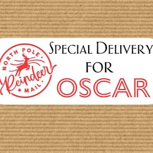 x20 Adesivos personalizados de presente de entrega especial do Pólo Norte de Natal, etiquetas de presente, etiquetas de presente personalizadas, adesivos de Natal para crianças