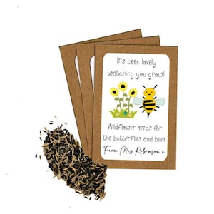 Personalised Teacher Seed Packets Envelopes with Wildflower Seeds | End of Term Teacher Gift | Teacher Gift to Students | School Class Gift