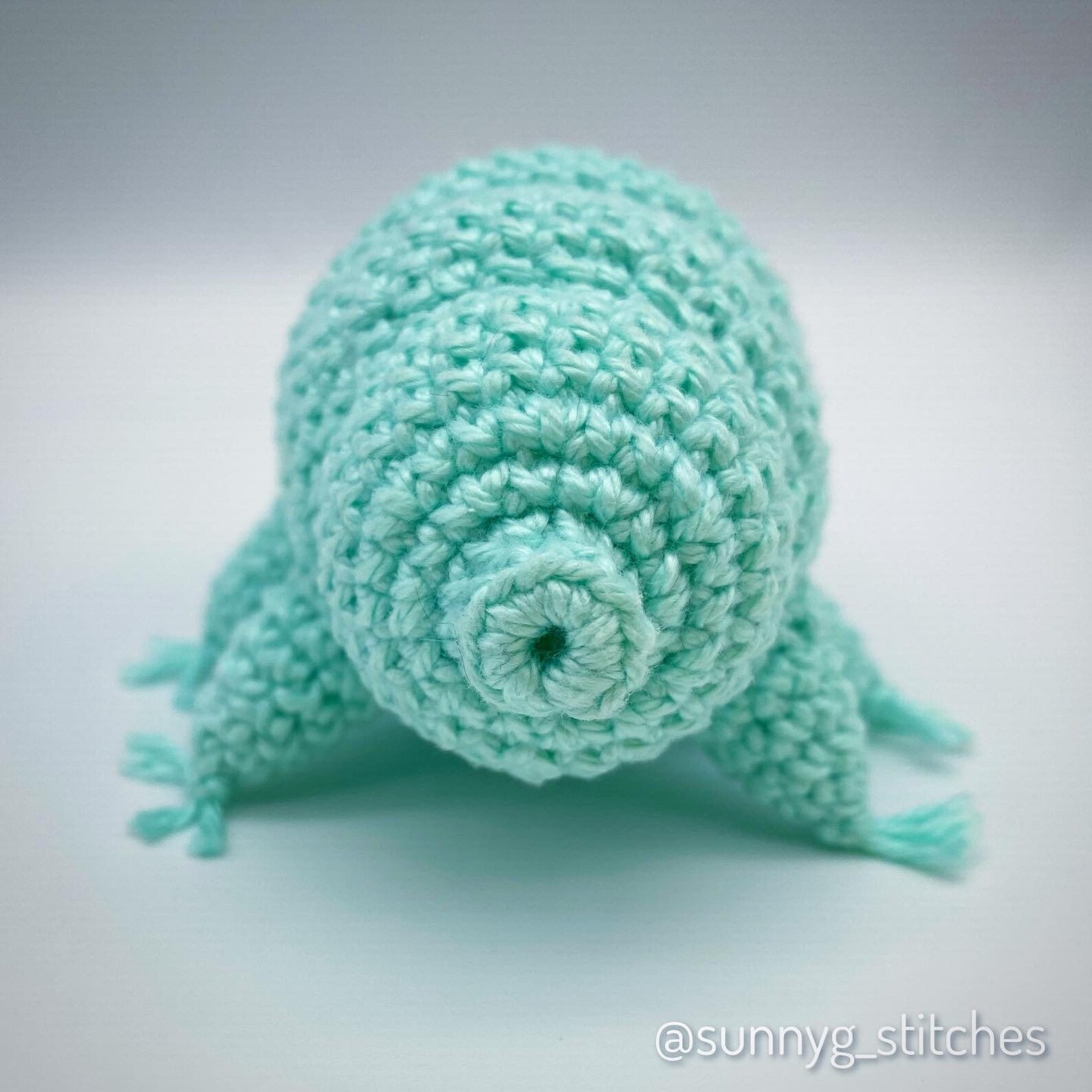 Tardigrade Amigurumi Crochet Pattern PDF English Etsy UK