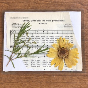 Pressed flower cards