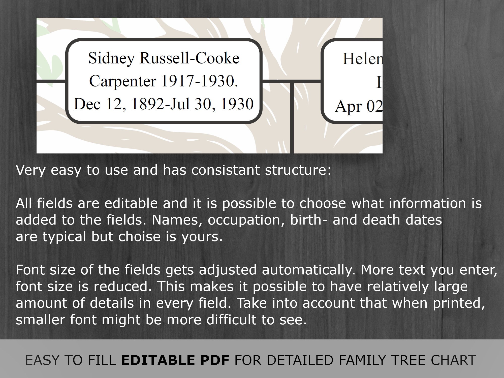Family Tree Chart 4 Generation: Printable and Editable Genealogy ...