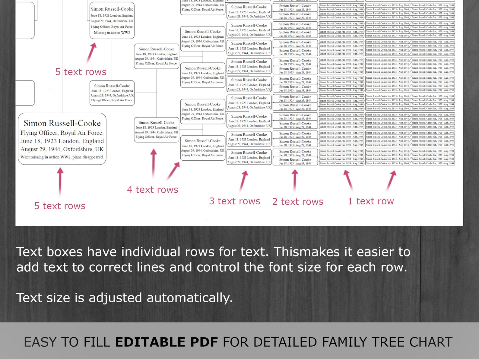 Árbol genealógico de 10 generaciones: Plantilla de genealogía