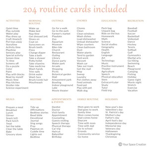 May include: A beige card with a list of 204 routine cards, categorized into activities, morning routines, outings, chores, education, recreation, meals, bedtime, appointments, family routine, and holidays.