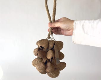 seed pod shaker