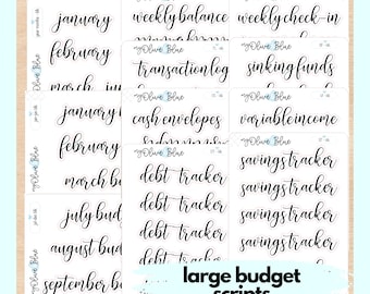 Large Budget Scripts || Budget planner stickers, planning scripts