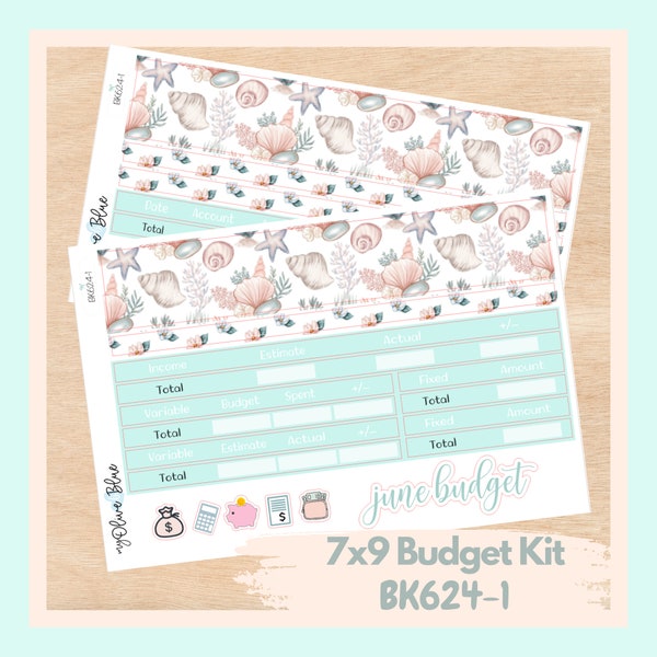 BK624-1 | JUNE Design 1 2024 | Monthly Budget Stickers | 7x9 Erin Condren and Plum Paper | Cashless budgeting spreads