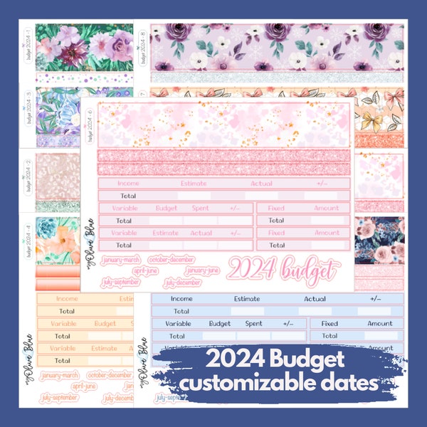2024 Budget - Customizable dates for Quarterly, Bi-Annual, or Annual || Budget planner setup stickers