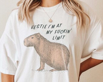 Bestie I'm At My Fuckin Limit Capybara shirt Weirdcore Clothing Weird Shirts Ironic Meme Tee Goblincore Fairycore Light Academia Clothing