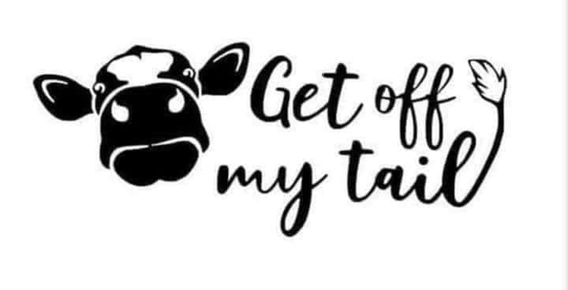 Get Off My Tail Cow Decal Funny Car Decal Moo Farm Etsy