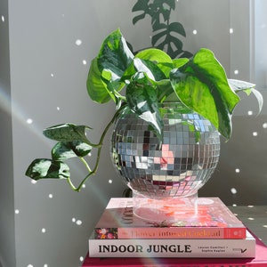 Acrylic Base for Disco Balls & Disco Ball Planters bild 6