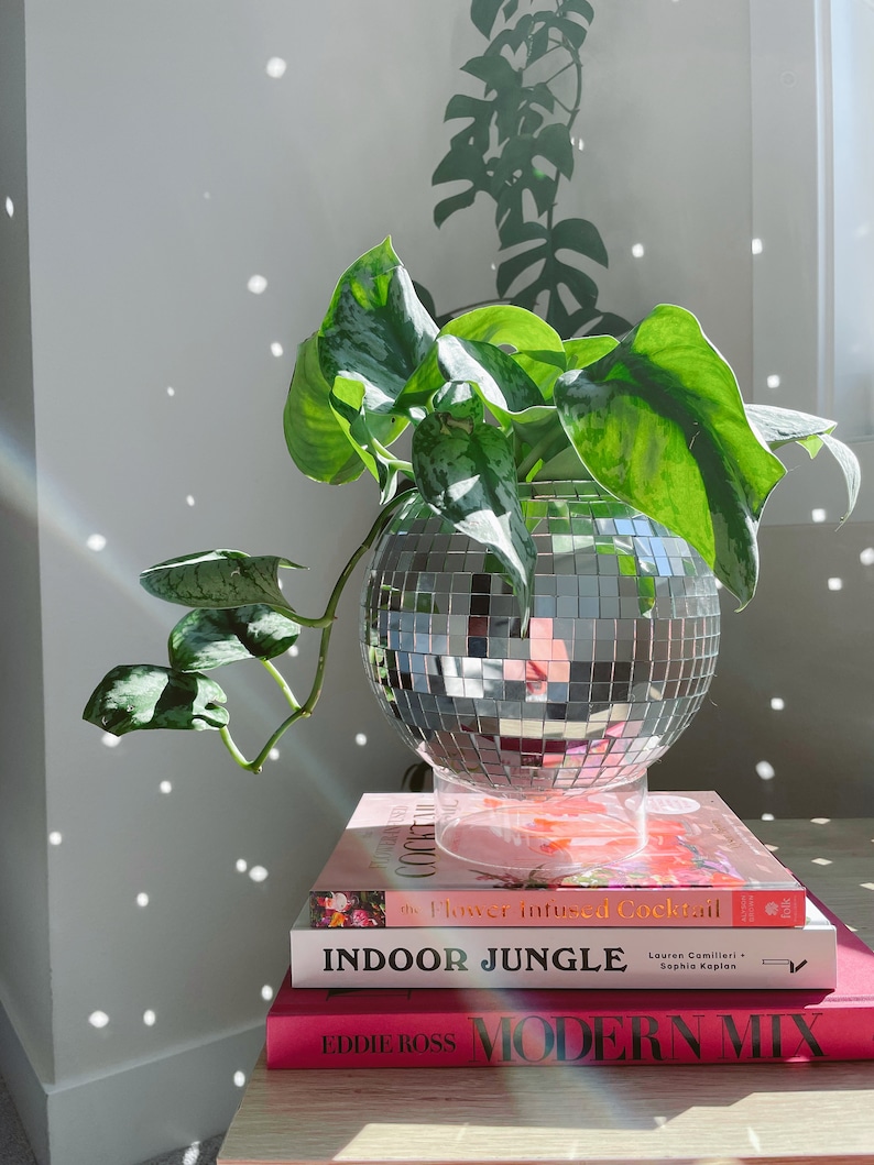 Acrylic Base for Disco Balls & Disco Ball Planters bild 6