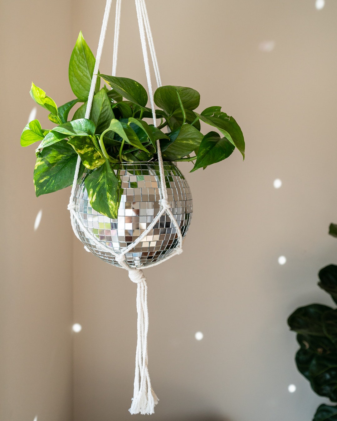 Hanging Disco Ball Planter 8 With Macrame Plant Hanger for Indoor or