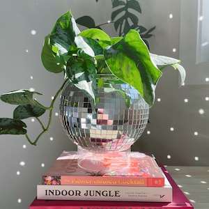 Acrylic Base for Disco Balls & Disco Ball Planters bild 2