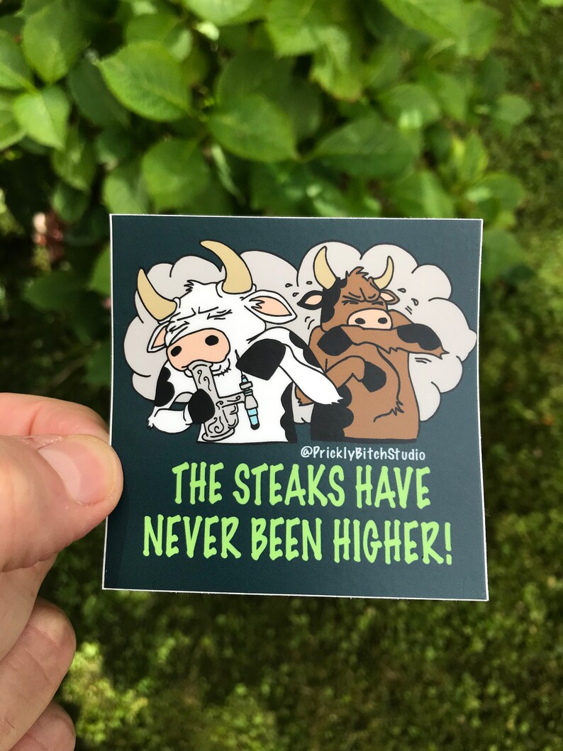Color Sticker / the Steaks Have Never Been Higher Funny Dab Etsy