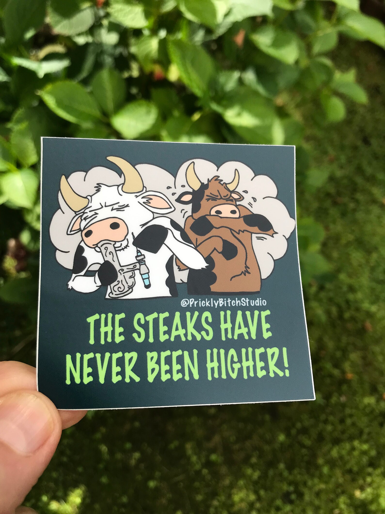 Color Sticker / the Steaks Have Never Been Higher Funny Dab Etsy