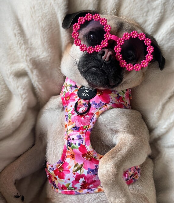 Flower Pet Sunglasses